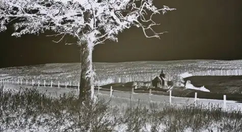 Альтернативная экзотерика